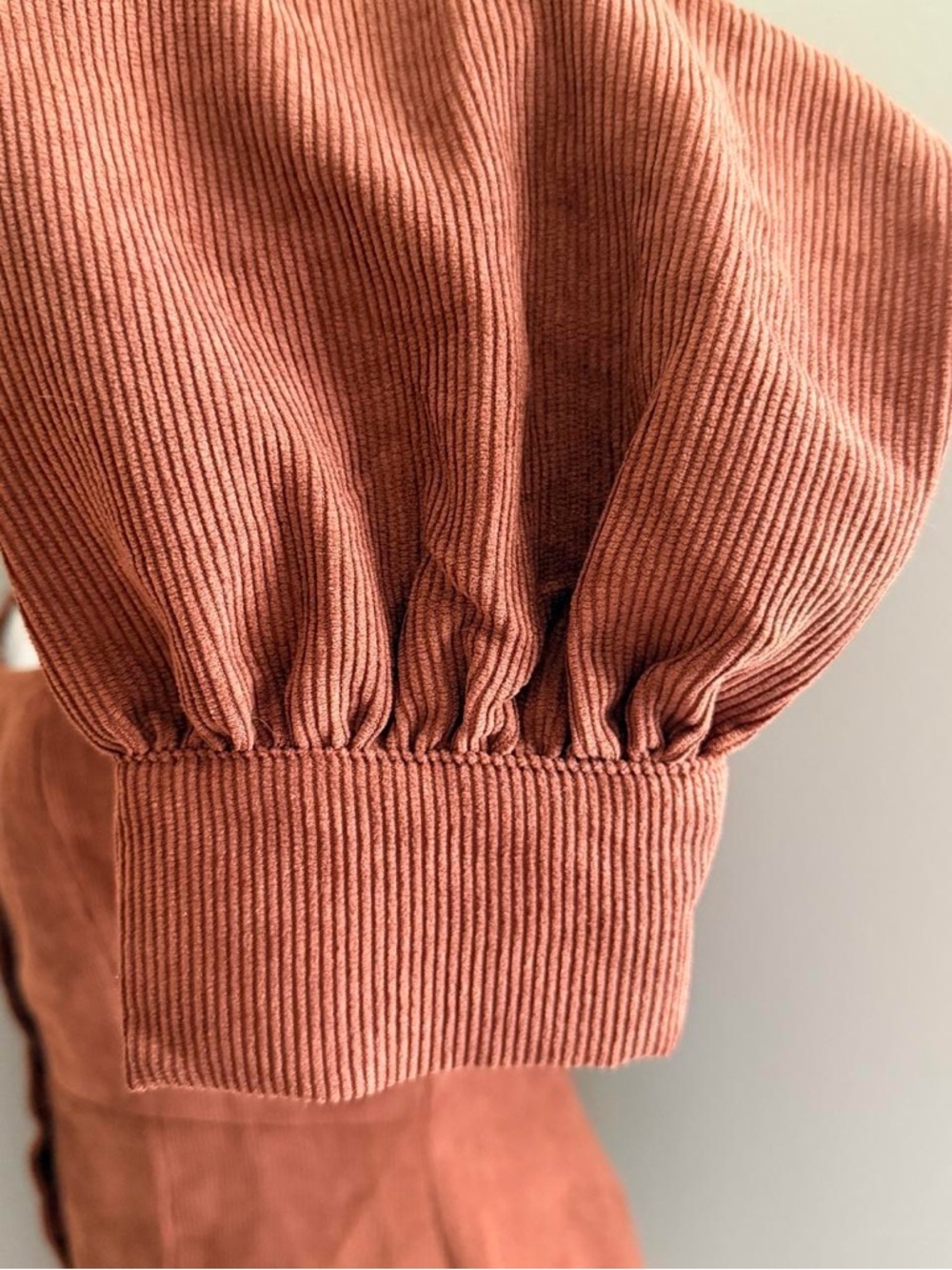 Lulus Brick Orange Corduroy Button-Front Mini Dress - Picture 4 of 8